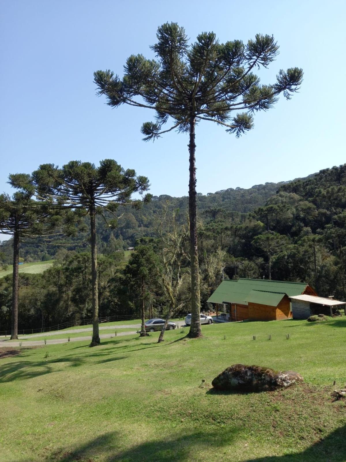 Casa De Campo Quinta Do Vale - Familia Urubici Exterior photo
